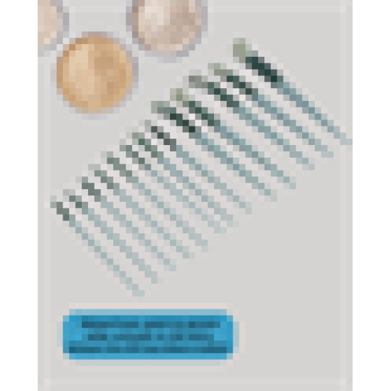 Profesyonel Kullanıma Uygun 13 Parça Makyaj Fırçası Takımı Fiber Kıllı