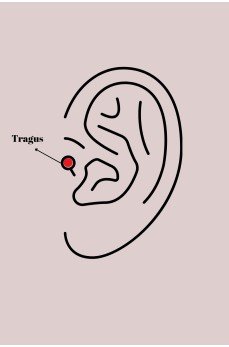 316L Çelik Gümüş Renk Mor Kelebek Model Tragus Piercing