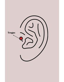 316L Çelik Gold Renk Zirkon Taşlı Sonsuzluk Model Tragus Piercing