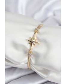 Pirinç VIP Seri Gold Renk Kutup Yıldızı Model Kadın Bileklik