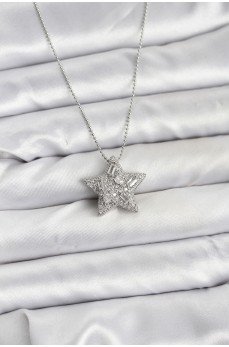 316L Çelik Zincir Gümüş Renk Zincirli Gümüş Yıldız Model Kadın Kolye