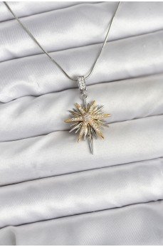 316L Çelik Zincir Gümüş Renk Kutup Yıldızı Model Kadın Kolye