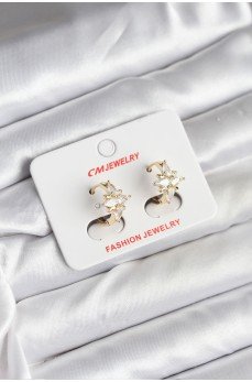 14K Gold Renk Kaplama Kutup Yıldız Zirkon Taşlı CM Kadın Küpe 14K Gold Renk Kaplama Kutup Yıldız Zirkon Taşlı CM Kadın Küpe