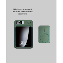 Özel Seri Mor Kurt Duvar Süsü Hediyelik Dekoratif Asılabilir Heykel