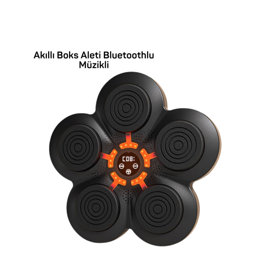 MÜZİK BOX MAKİNESİ MÜZİK BOX MAKİNESİ