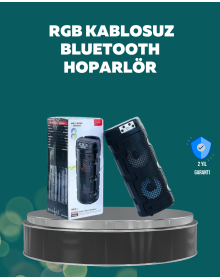 PG-100 Kablosuz Bluetooth Kulaklık