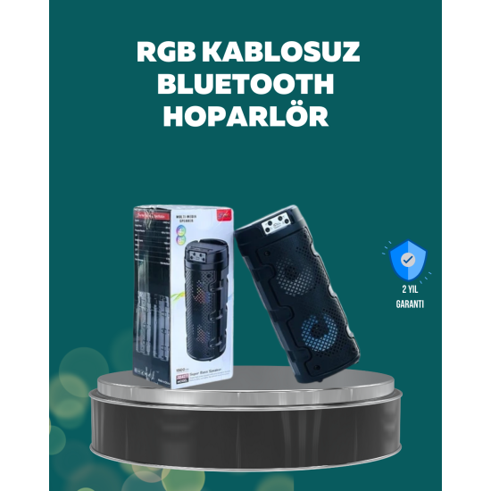 PG-100 Kablosuz Bluetooth Kulaklık