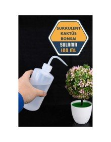 Sukkulent Kaktüs Bonsai Sulama Şişesi
