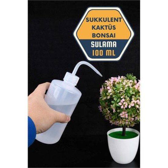 Sukkulent Kaktüs Bonsai Sulama Şişesi Sukkulent Kaktüs Bonsai Sulama Şişesi