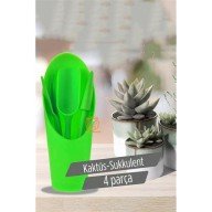 Kaktüs Sukkulent Dikim Seti Kaktüs Sukkulent Dikim Seti