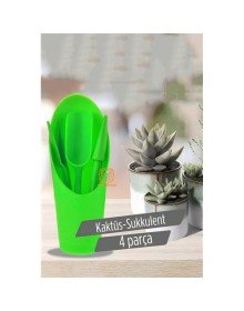 Kaktüs Sukkulent Dikim Seti