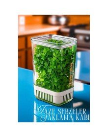 Yeşillik Saklama Kabı - Taze Yeşillik İçin - Soğan Maydanoz vb Yeşillik Saklama