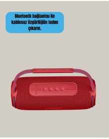 20W Kablosuz Bluetooth Hoparlör RGB Işık Efektli USB/SD/AUX Destekli