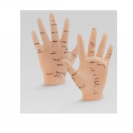 Akupunktur EL Maketi Akupunktur EL Maketi