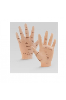 Akupunktur EL Maketi