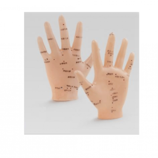 Akupunktur EL Maketi Akupunktur EL Maketi