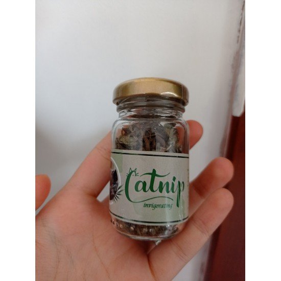 Catnip Doğal Kedi Otu - Kedi Nanesi Catnip Doğal Kedi Otu - Kedi Nanesi