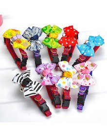 Çıngıraklı Kedi-Köpek Papyonu