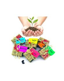 Dilek Tohumları - Başarı