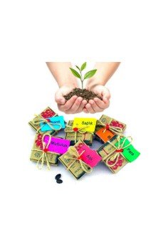 Dilek Tohumları - Şans Dilek Tohumları - Şans