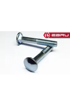 Kasa Civata 5/16x60 - 10 Adet