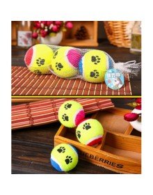 At Getir Köpek Eğitim Topu