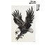Kartal Geçici Dövme Şablonu - FF037