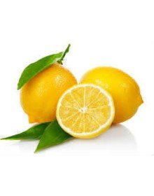 Limon Bonesi / 100 Adet / Bitki Çayı Bonesi