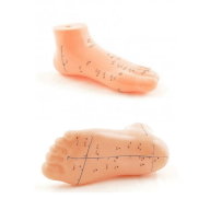 Ayak Akupunktur bölgesi Maketi Ayak Akupunktur bölgesi Maketi