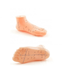 Ayak Akupunktur bölgesi Maketi