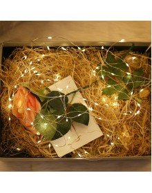 Peri Led Işık 5 metre GÜN IŞIĞI Dekor Lambası 50 Ledli