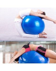 Pilates Topu 65 Cm