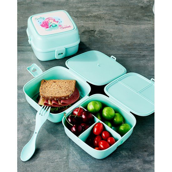 4 Bölmeli Çatallı Beslenme Kabı - Diyet Kabı Karışık Renklerdedir 4 Bölmeli Çatallı Beslenme Kabı - Diyet Kabı Karışık Renklerdedir