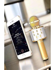 Şarjlı ve Uzun Pil Ömürlü Karaoke Mikrofon USB Bellek Destekli, Profesyonel Ses