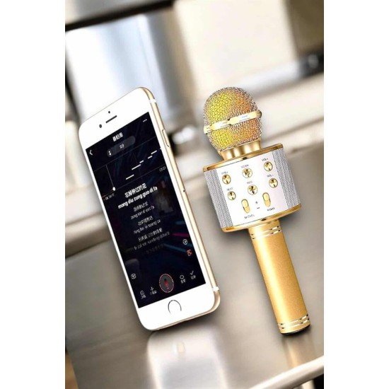 Şarjlı ve Uzun Pil Ömürlü Karaoke Mikrofon USB Bellek Destekli, Profesyonel Ses