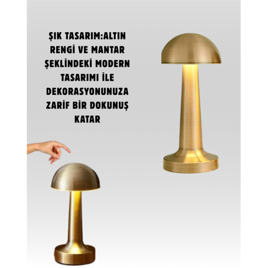 Mantar Masa Lambası