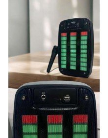 Kablosuz Bluetooth Hoparlör Taşınabilir 6.5 inç LED Işık Kareoke