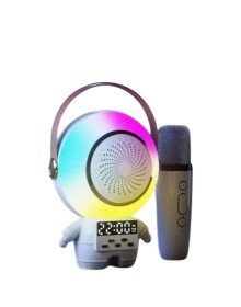 XM-X66 KARAOKE MİKROFON