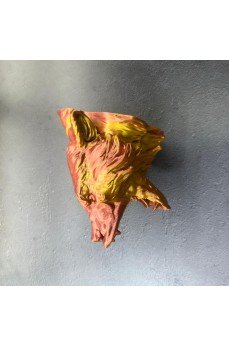 Dekoratif Asılabilir Jaguar Başı 3D Duvar Heykeli Gold Red 20x16 cm