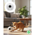 Multi-Functional Artificial Intelligence Trail Camera Mobile Application and Live Monitoring