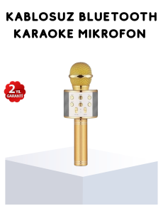 Karaoke Microphone Bluetooth USB AUX Input with Echo Effect