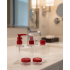 Set of 5 Travel Size Cosmetic Bottles 30 ml Organizer with Bag