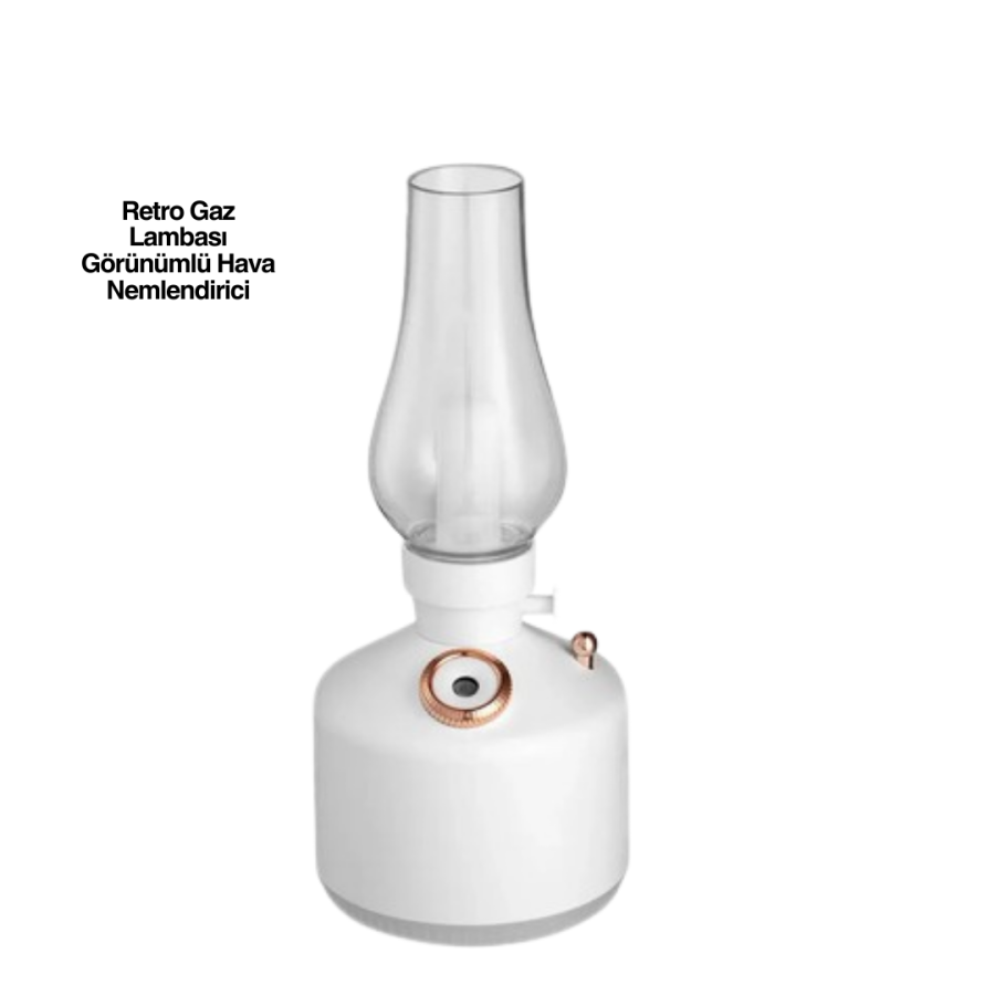 0621 LAMP HUMIDIFIER 0621 LAMP HUMIDIFIER