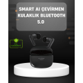 Artificial Intelligence Supported Bluetooth Headset Instant Translation and Noise Canceling
