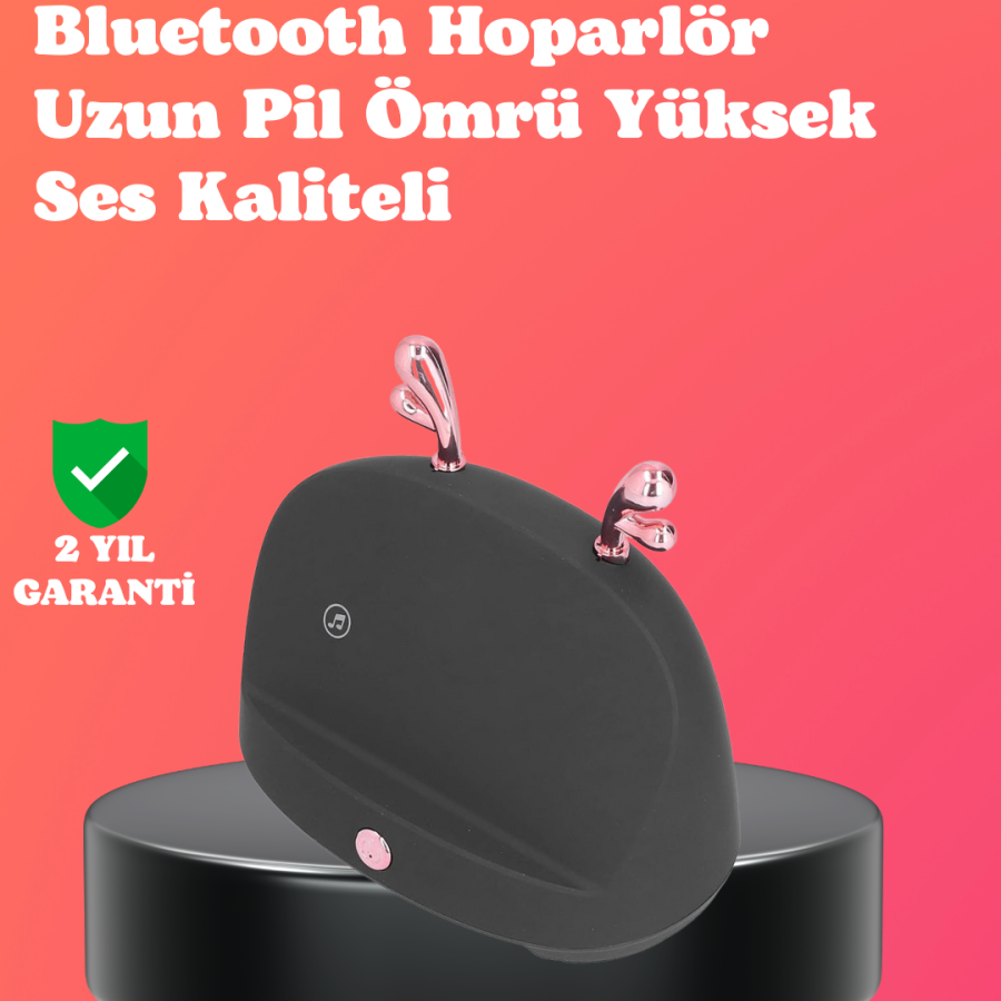 Wireless Induction Phone Holder and Speaker – Practical Sound Amplifier