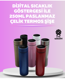 250 ml Insulated Thermos Bottle with LED Temperature Meter
