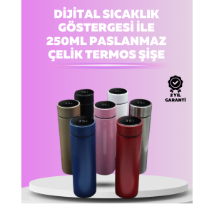 250 ml Insulated Thermos Bottle with LED Temperature Meter