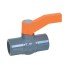 1 PVC Ball Valve Pass
