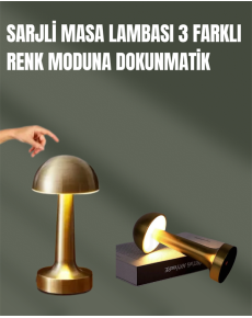 100% Adjustable Light – USB Rechargeable Desk Lamp