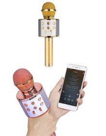 Bluetooth Speaker USB AUX SD Card Kaoroke Microphone Long Battery Life